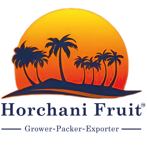 logo-HF-fav